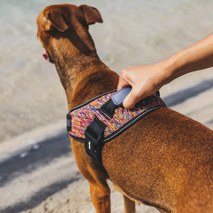 VORTEX FLY HARNESS ボーテックス フライハーネス
