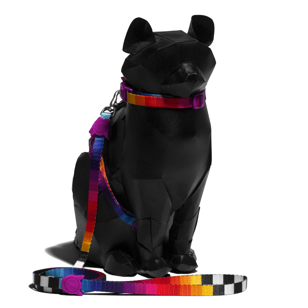 zee.cat PRISMA LEASH HARNESS SET プリズマ リード・ハーネスセット