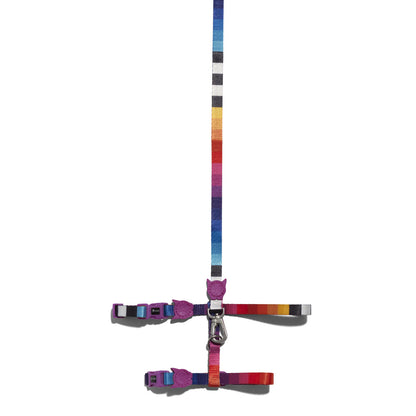 zee.cat PRISMA LEASH HARNESS SET プリズマ リード・ハーネスセット